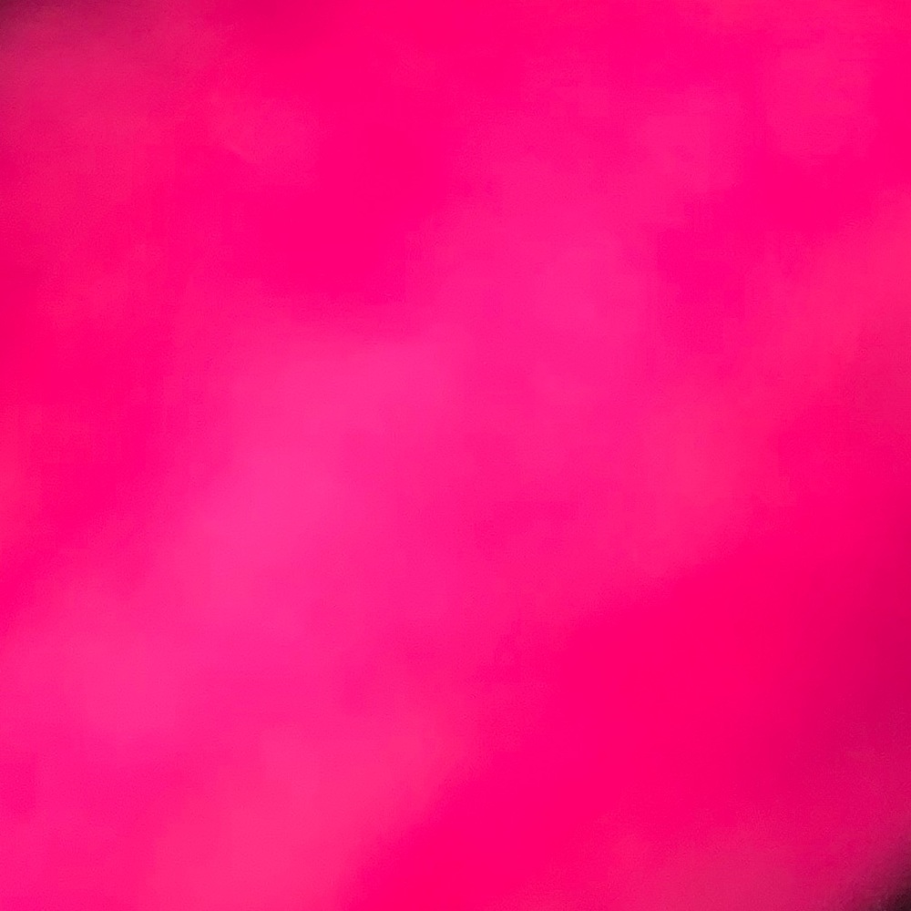 Meet your Posher, Shelly!